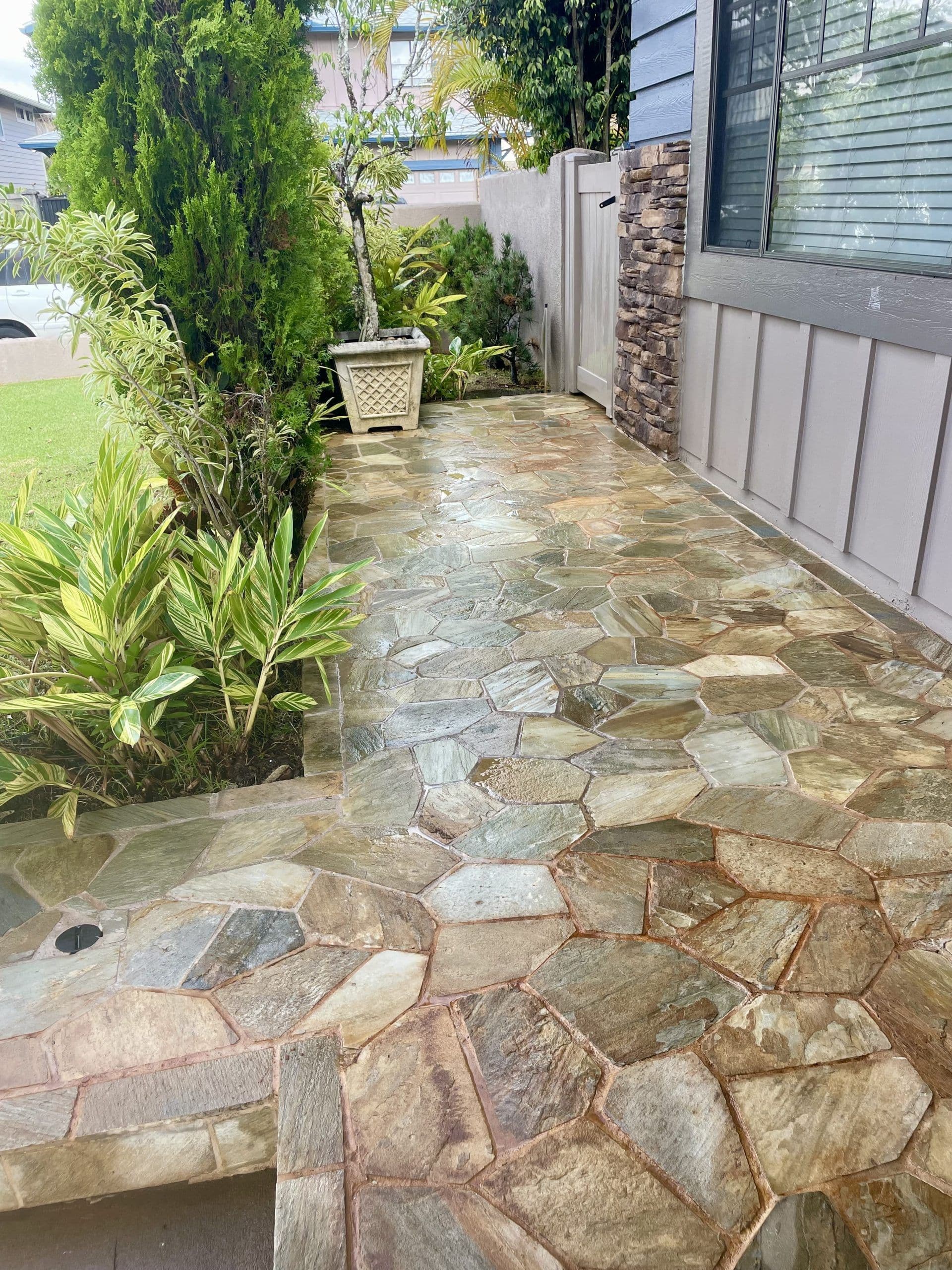 Stone walkway with lush greenery and decorative planter on a residential property.